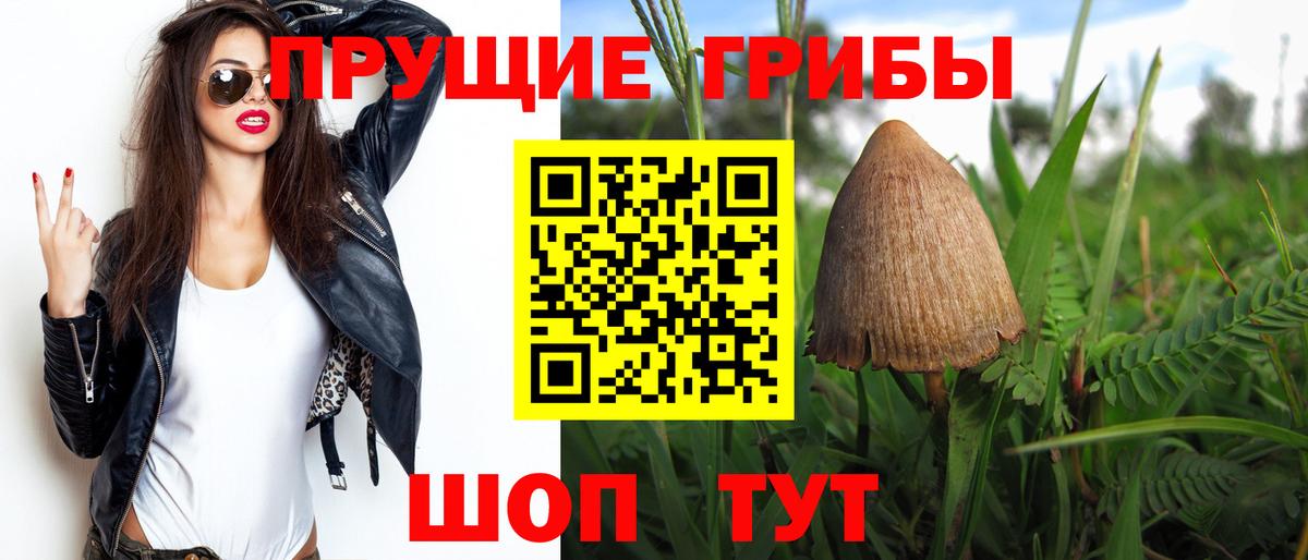 Псилоцибиновые грибы мицелий Бутурлиновка