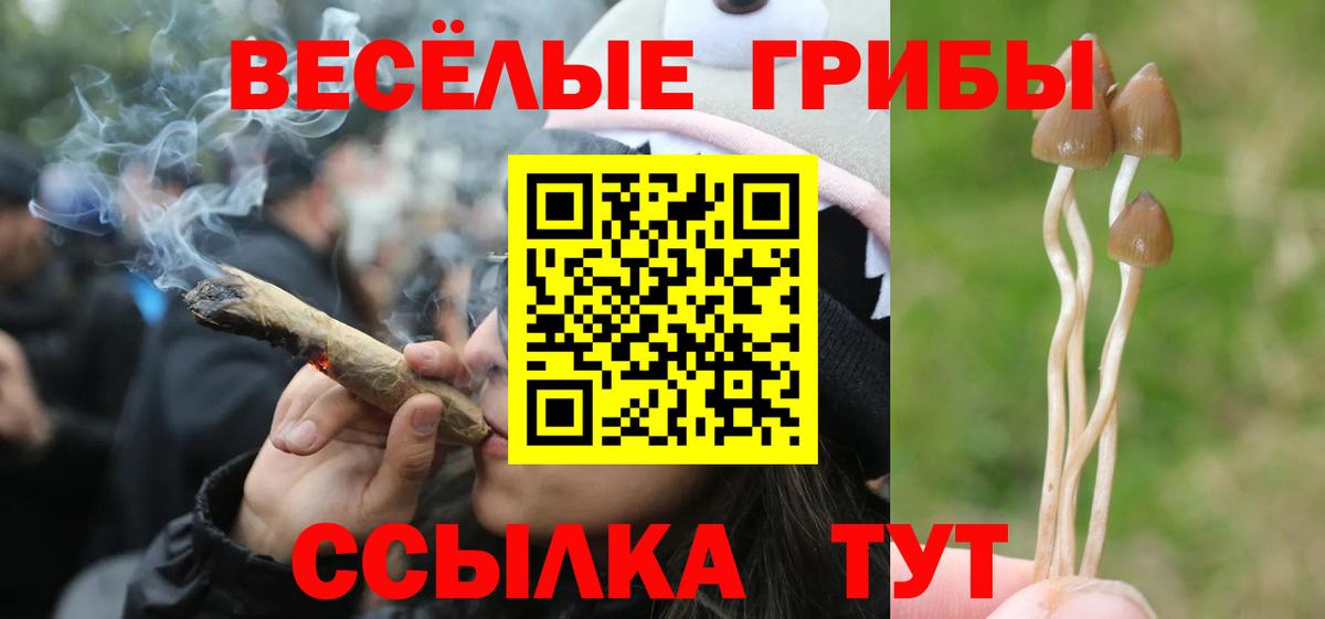 Псилоцибиновые грибы Psilocybine cubensis  Вход с VPN  Бутурлиновка 